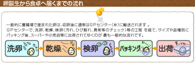 卵誕生から食卓へ届くまでの流れ