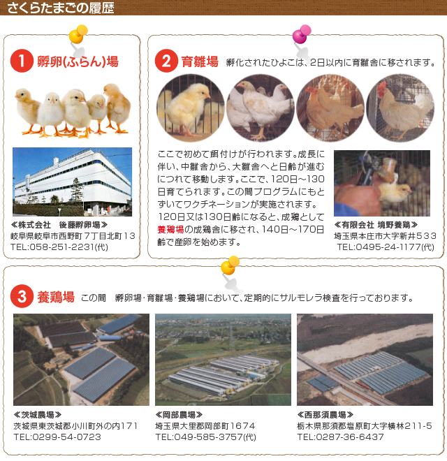さくらたまごの履歴