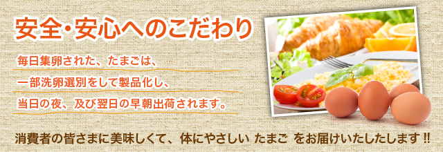 安全･安心へのこだわり