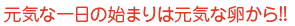 元気な一日の始まりは元気な卵から!!